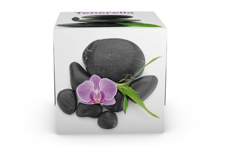 A0029  TENERELLA PAÑUELO FACIAL 3 CAPAS (SPA)